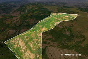 Aerial view of property's location with property parcel outlined