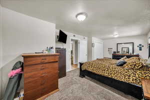 Bedroom featuring carpet and a textured ceiling