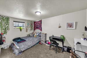 Carpeted bedroom featuring a textured ceiling