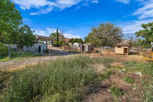 View of yard with a storage shed