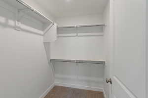 Spacious closet featuring carpet floors