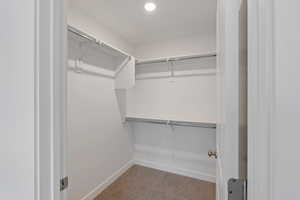 Spacious closet featuring carpet flooring