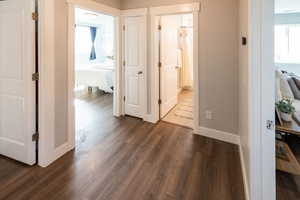Hall with dark wood-style flooring