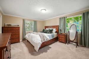 Bedroom with crown molding, light carpet, and a textured ceiling