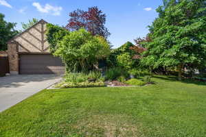 View of property hidden behind natural elements with concrete driveway, a garage, and a front lawn