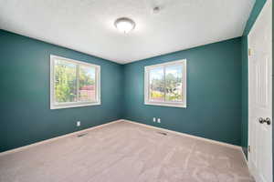 Spare room with carpet, a smoke detector, and a textured ceiling