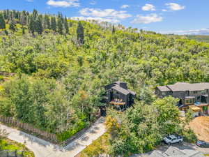 Aerial view of a heavily wooded area