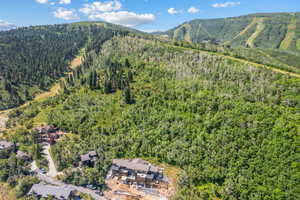 Mountain view with a forest