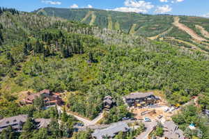 View of property location with a heavily wooded area and mountains