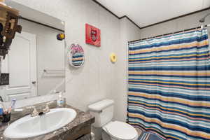 Full bathroom featuring crown molding, a shower with shower curtain, and vanity