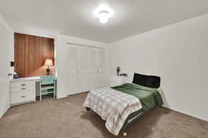Bedroom featuring carpet flooring and a closet