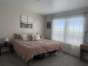 Bedroom featuring carpet floors and a textured ceiling