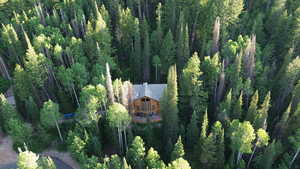 View from above of property featuring a forest
