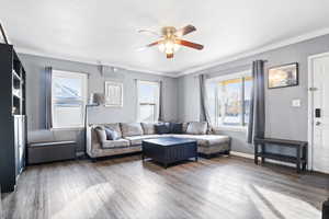 Living area with ample natural light, a ceiling fan, LVP flooring, and ornamental molding