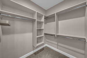 Spacious closet featuring carpet