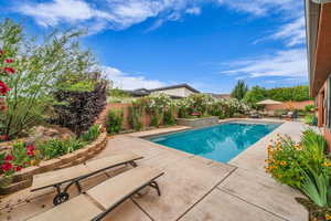 View of pool featuring a patio area and a fenced backyard