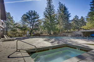 Community pool featuring a hot tub and a patio