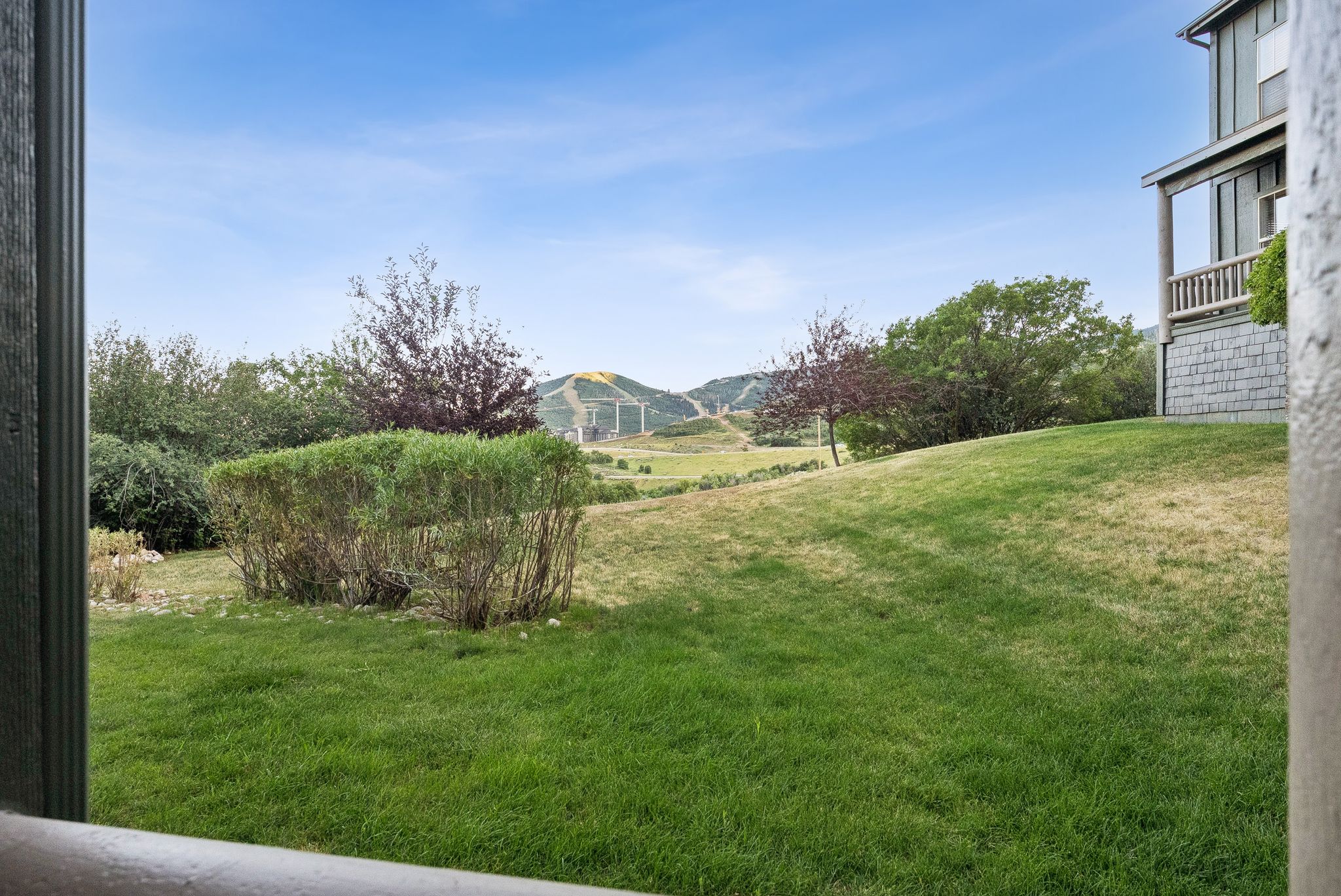 View of green lawn