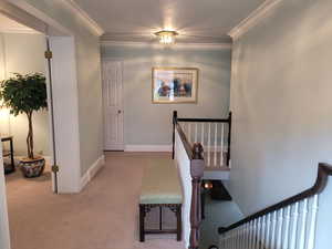 Stairway with carpet flooring and ornamental molding