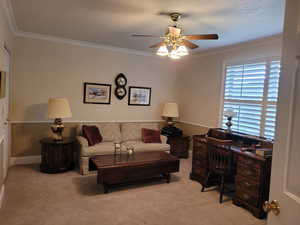 Living area featuring a ceiling fan, light colored carpet, and ornamental molding