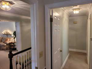 Hallway featuring carpet floors, crown molding, and a chandelier