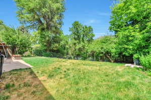 View of green lawn featuring a patio