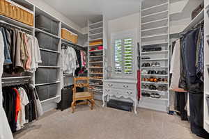 Walk in closet with carpet