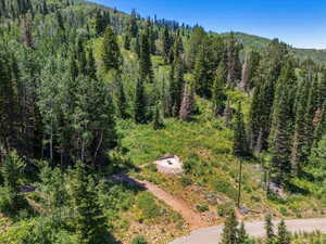 Bird's eye view of a heavily wooded area
