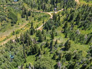 Aerial view of property and surrounding area with a forest