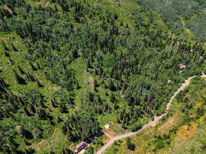 View of property location with a forest