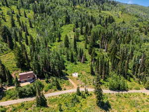 Aerial view of property's location with a forest