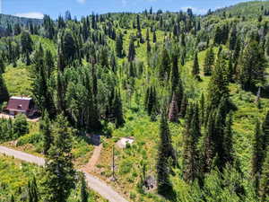 Drone / aerial view of a heavily wooded area