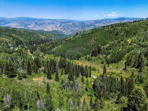Mountain view with a heavily wooded area