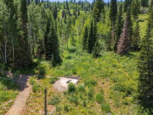 Drone / aerial view of a heavily wooded area