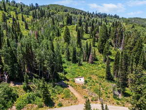 Drone / aerial view of a heavily wooded area