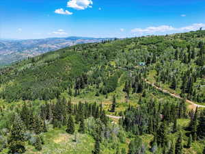 View of property location featuring a heavily wooded area and a mountainous background