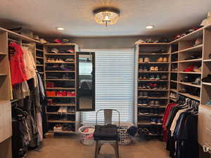 Walk in closet featuring carpet flooring