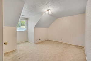 Additional living space with a textured ceiling, carpet, and lofted ceiling