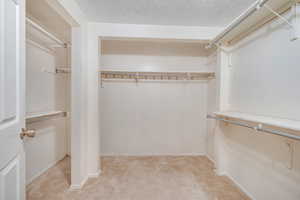Spacious closet featuring light colored carpet