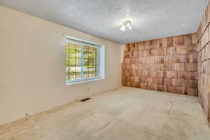 Empty room featuring carpet floors and a textured ceiling