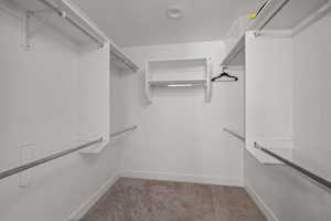 Walk in closet featuring carpet