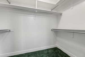 Spacious closet with dark carpet