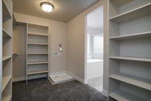 Walk in closet with dark carpet