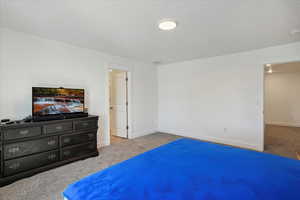 Carpeted bedroom featuring baseboards and a textured ceiling