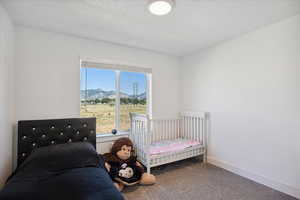 Carpeted bedroom featuring a mountain view, a nursery area, and a textured ceiling