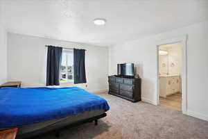 Bedroom featuring light colored carpet, a textured ceiling, and ensuite bath