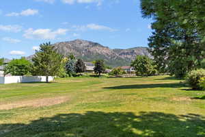 View of mountain background