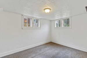 Below grade area with a textured ceiling and carpet flooring