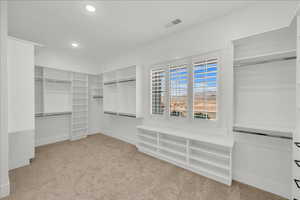 Spacious closet featuring carpet floors