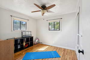 Exercise area with healthy amount of natural light, wood finished floors, a textured ceiling, ceiling fan, and crown molding